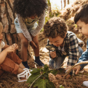 Eine vergnügte Gruppe von Kindern erkundet spielend die geheimnisvolle Natur im Wald.