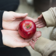Handflächen einer Frau und eines Kindes, die sich berühren. Die Hände sind geöffnet und sie tragen gemeinsam einen Apfel.