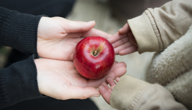 Handflächen einer Frau und eines Kindes, die sich berühren. Die Hände sind geöffnet und sie tragen gemeinsam einen Apfel.