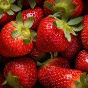 Frühlingsobst- Erdbeeren