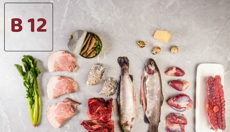 Abbildung von Vitamin B12-reichen Lebensmitteln. Fisch, Fleisch, Octopus, Käse ect.