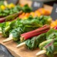 Radieschen gesund,Vitamine in Radieschen