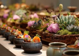 Elegantes Fingerfood in kleinen Keramikschälchen, kunstvoll garniert mit frischen Kräutern, Gemüse und Blüten – dekoriert auf einer Tafel mit Moos, Sukkulenten und floralen Elementen für ein stilvolles Event-Catering.