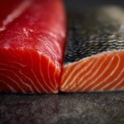 Zucht Lachsforelle im Check Split-screen Darstellung verschiedener Lachsfilets im Querschnitt, deutlicher Unterschied in Farbe und Fettmarmorierung zwischen Atlantischem Lachs, Sockeye, Coho und Königslachs